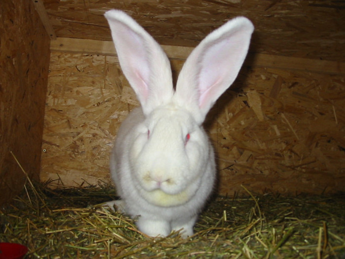 Picture 122