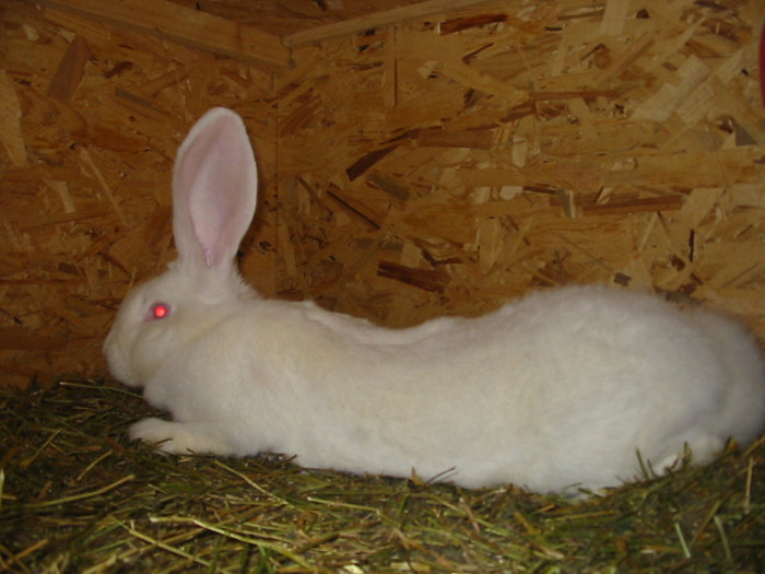 Picture 123