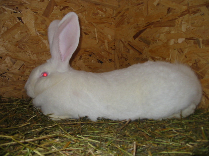Picture 124
