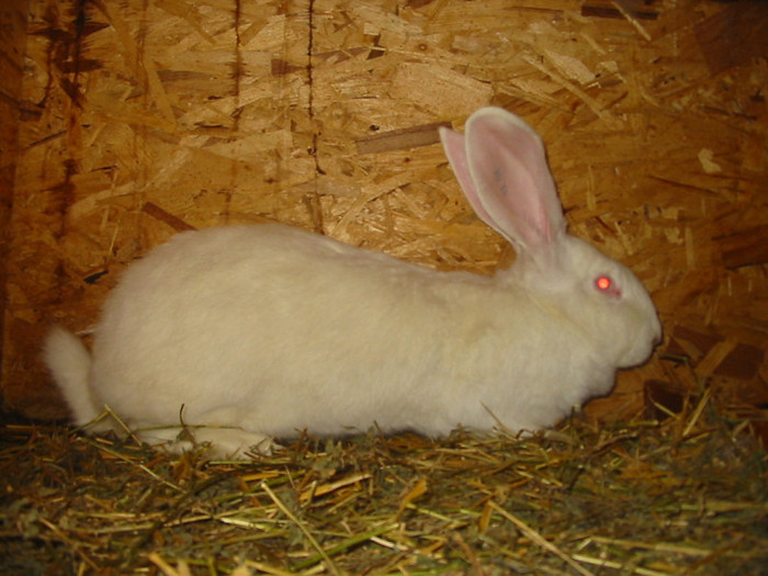 Picture 127