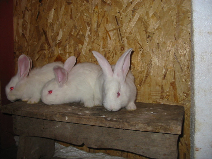 Picture 139