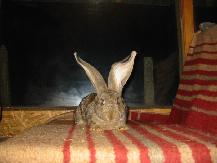 Picture 142