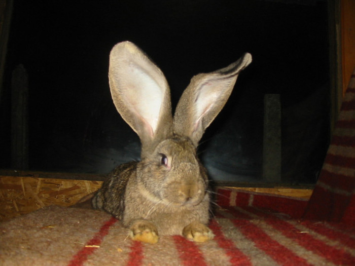 Picture 143