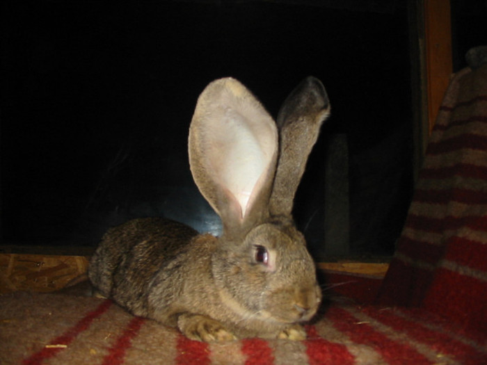 Picture 144