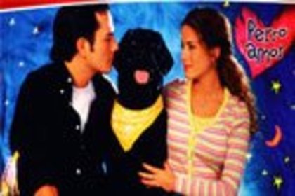 376274_222174791188049_100001865908866_562751_1449411829_n