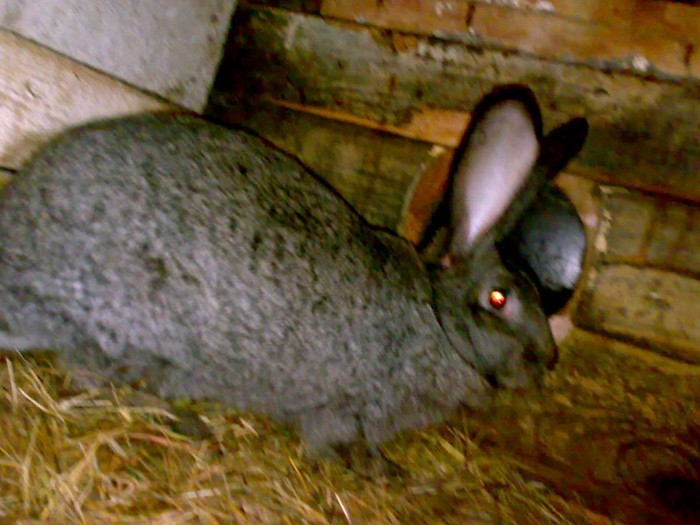 23012012500 - Copy - Copy - Copy