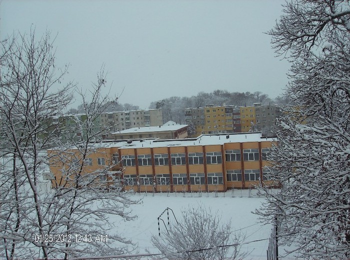 scoala generala - pomi iarna 2012