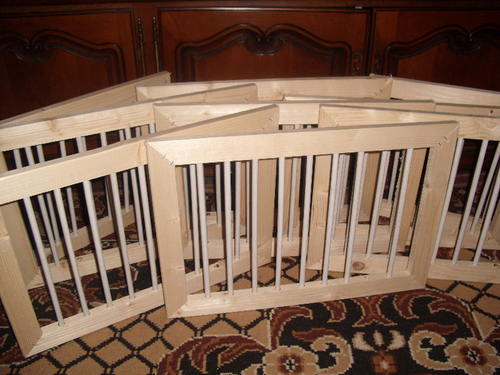 fete pt boxe porumbei 001