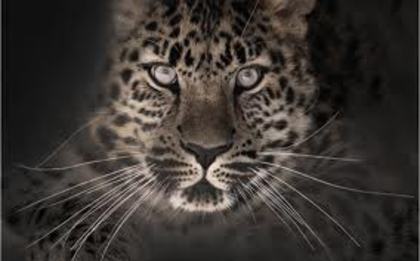 imagesCAAWIQ9R