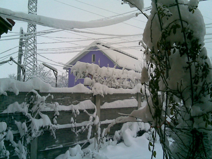 26012012 - Iarna la noi in curte - 2012