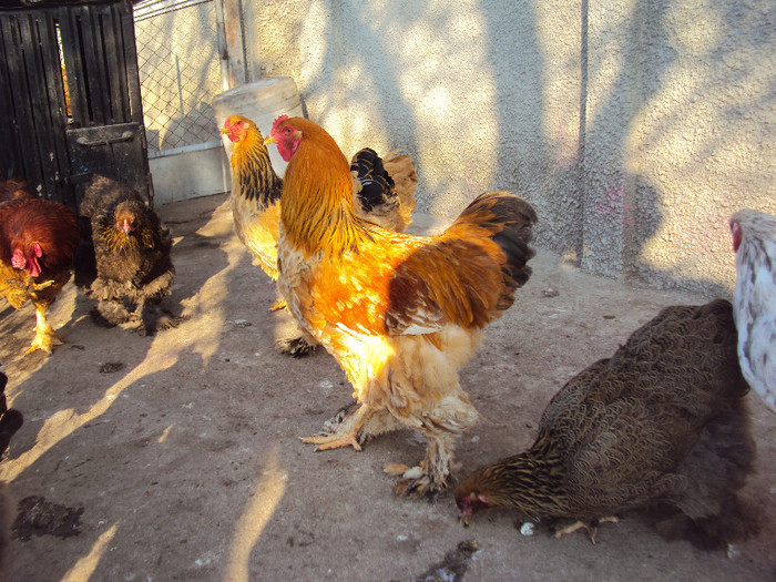 DSC09199