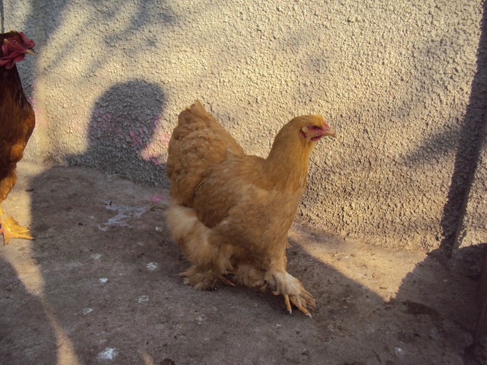 DSC09201
