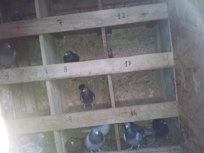 20120122_105736 - Copy