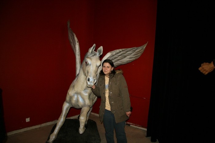 IMG_9108 - 2012 14 ianuarie-Cu Micutii La Expo Statuete Ceara