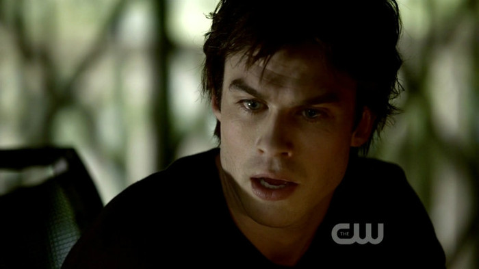 TVD (16)