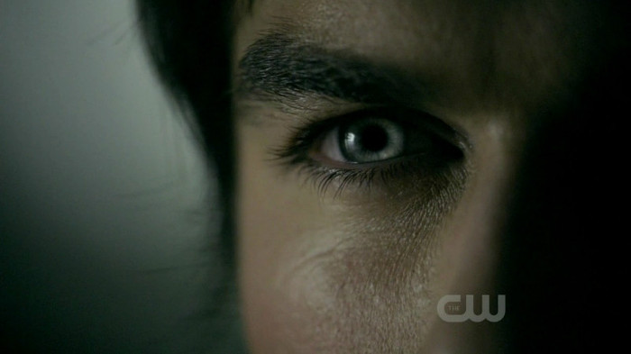 TVD (29)