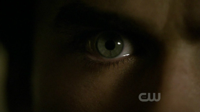 TVD (48)