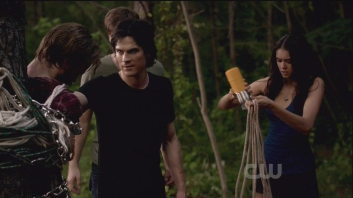 TVD (30)