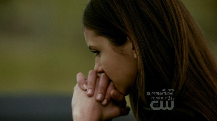 TVD (16)