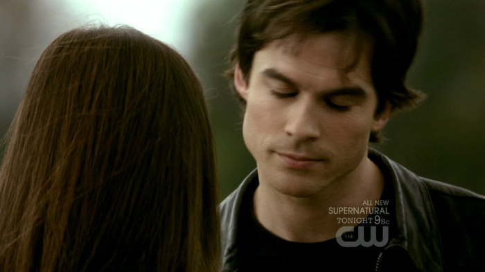 TVD (17)