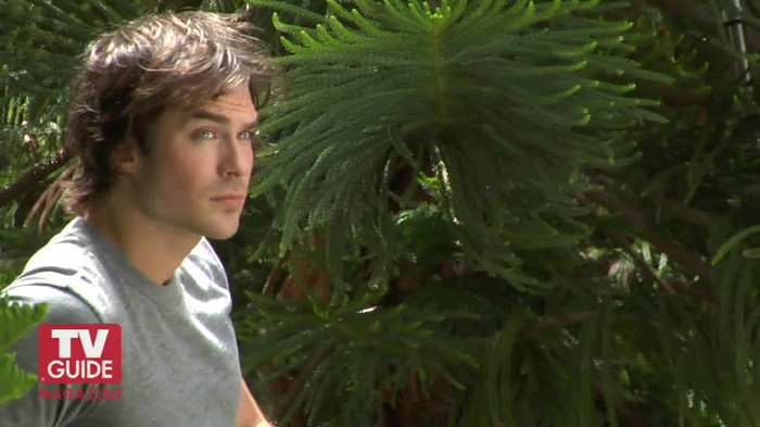 TVD (11) - The Vampire Diaries