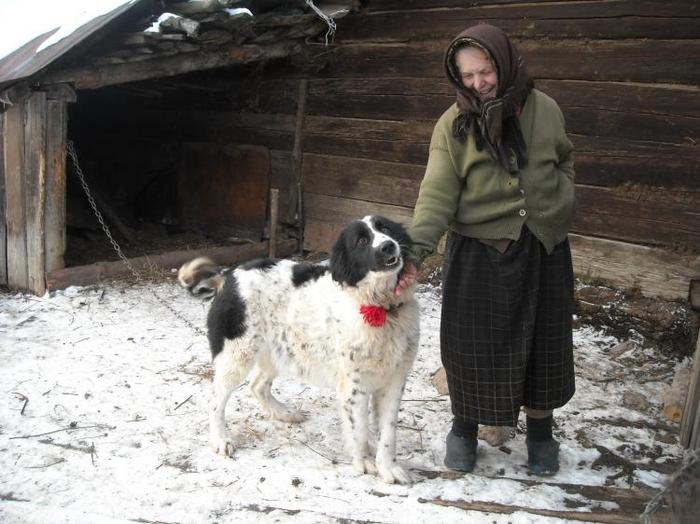 1294268787-dscn0786 - CIOBANESC DE BUCOVINA