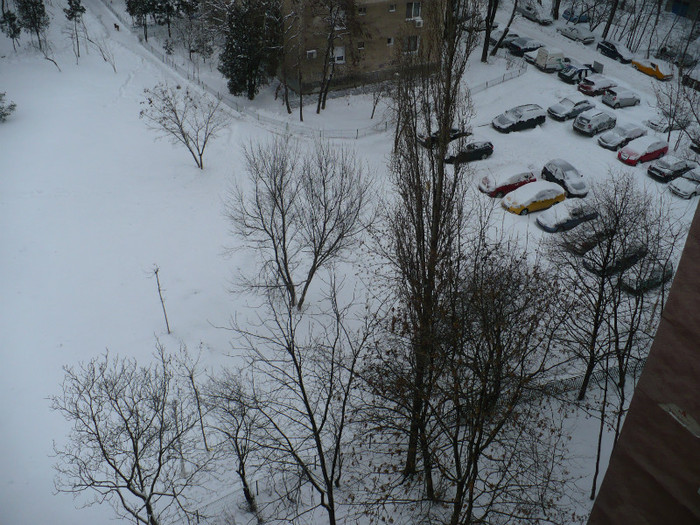 P1360971 - Iarna in Bucuresti 2012