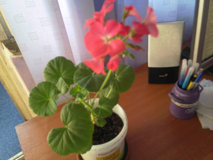 multumesc mult Laurabv ian 2012