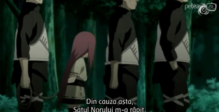 Kushina 47