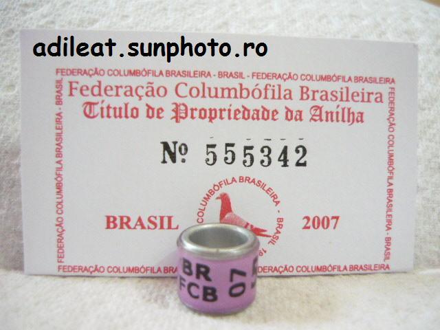 BRAZILIA-2007 - BRAZILIA-ring collection