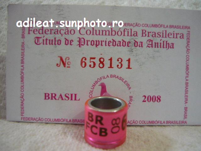 BRAZILIA-2008 - BRAZILIA-ring collection