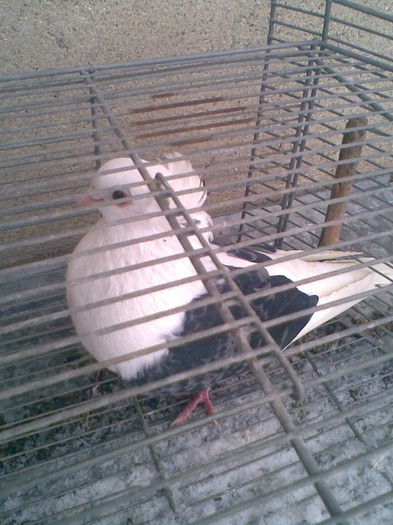 Imag000