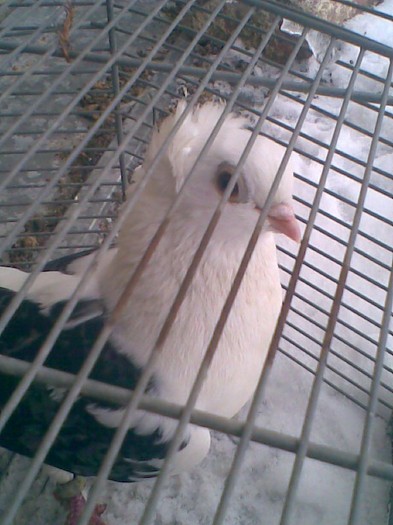Imag001