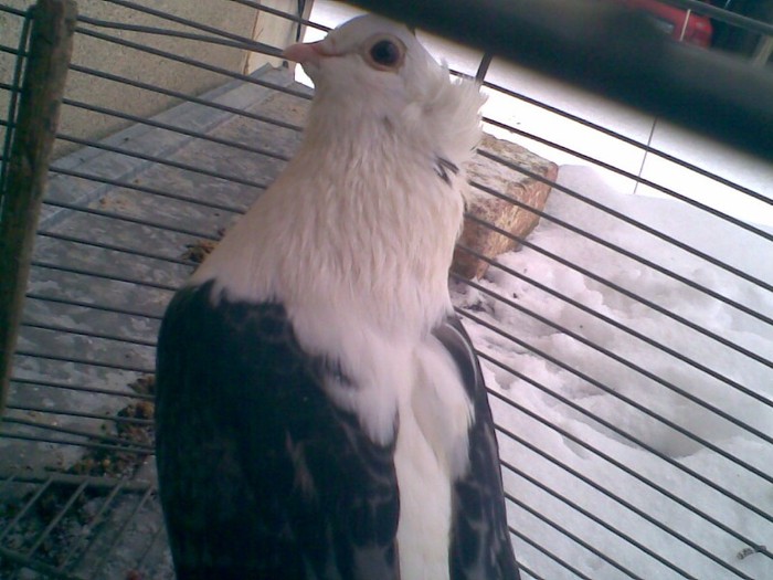 Imag004