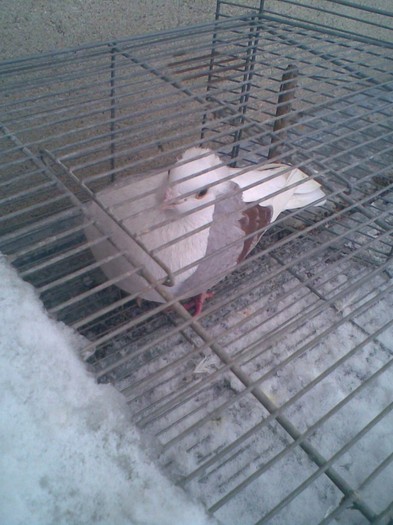 Imag014