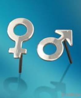 Cercei unisex el si ea, inox