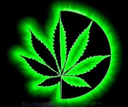 marijuana303 - imagini cu marijuana