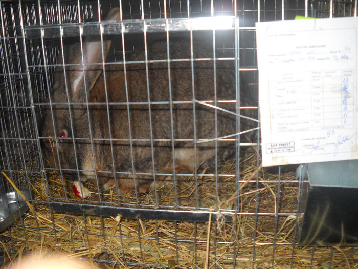 Picture 018