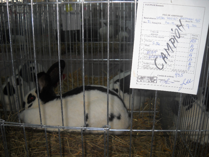 Picture 023
