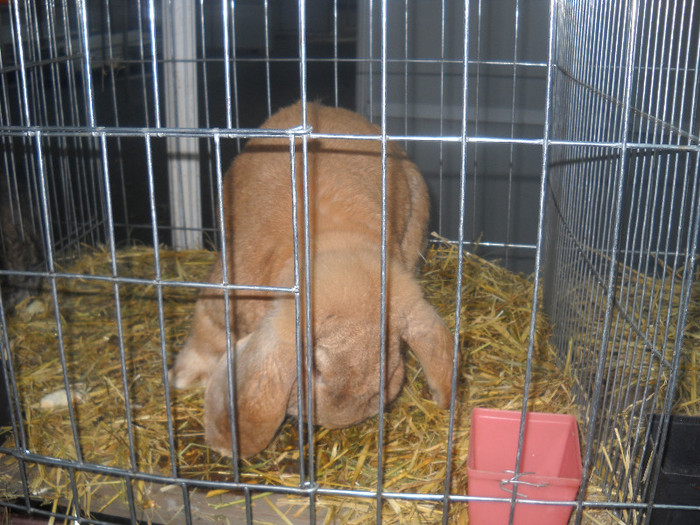 Picture 039