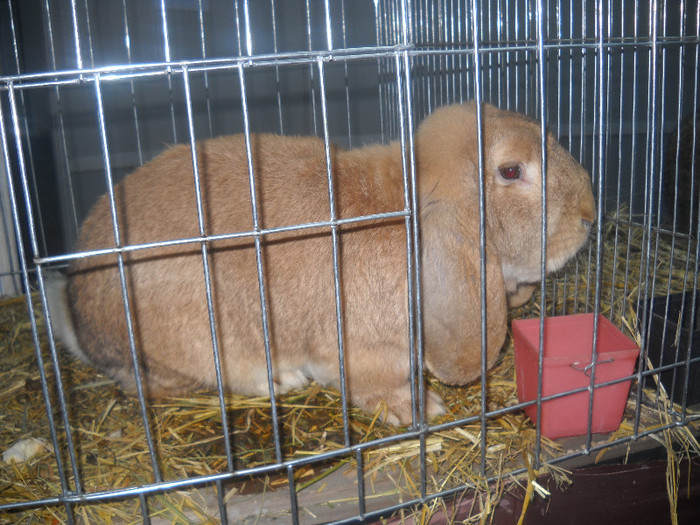 Picture 040