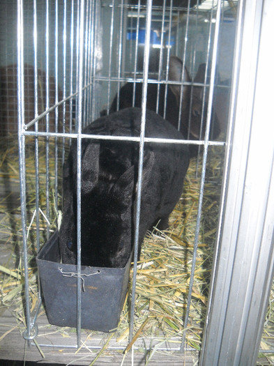 Picture 066 - 2012 CLUJ