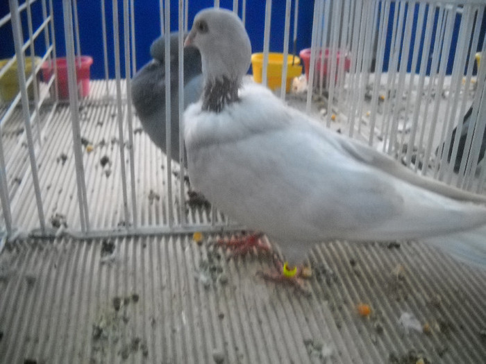 Picture 089 - 2012 CLUJ