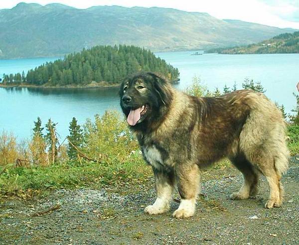 0106%20Anuschka%20okt%202005