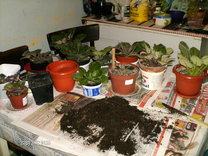 lucrari de schimbare a pamantului