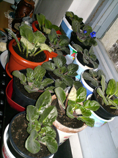 toate improspatate...;))