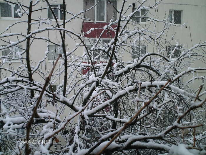 ianuarie- 023 - iarna_2012