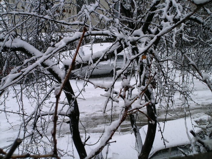 ianuarie- 024 - iarna_2012