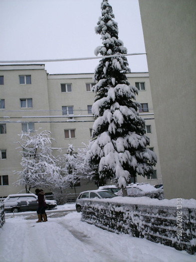 ianuarie- 038 - iarna_2012