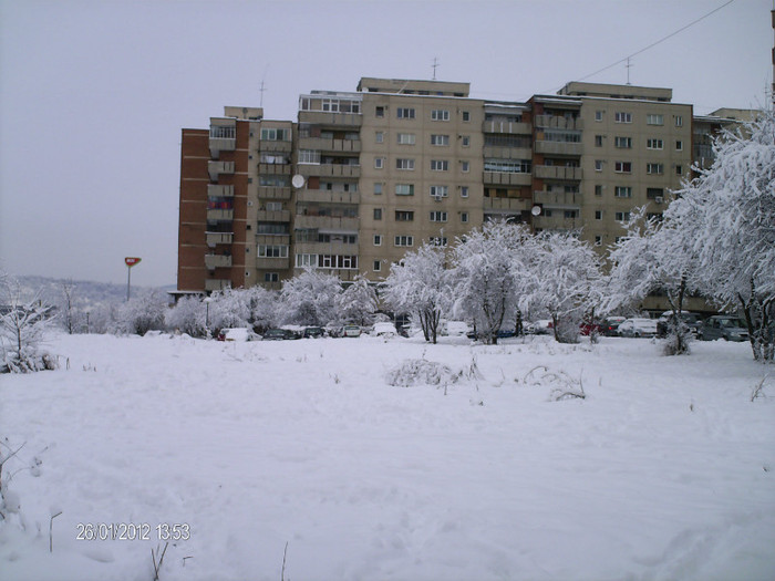 ianuarie- 041 - iarna_2012